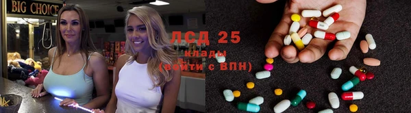 сатива Аркадак