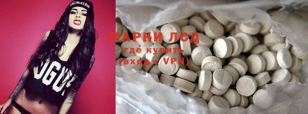 сатива Аркадак