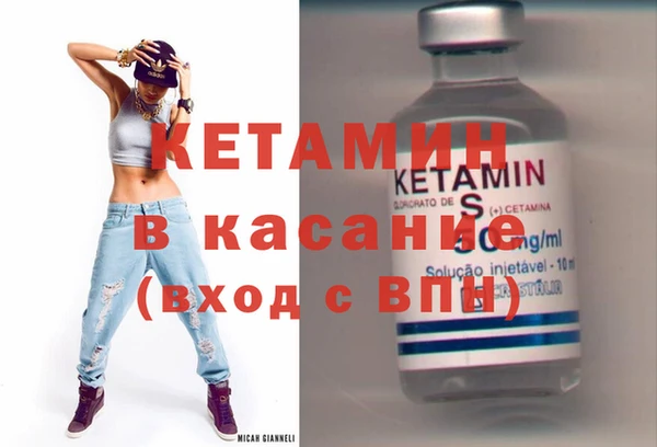 сатива Аркадак
