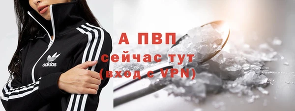 сатива Аркадак