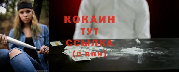 сатива Аркадак