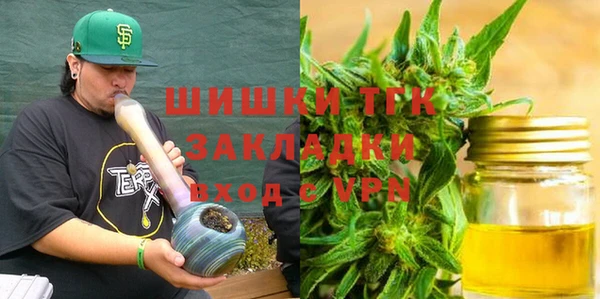 сатива Аркадак