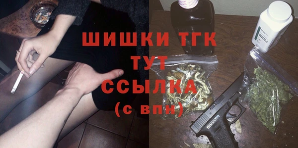 сатива Аркадак