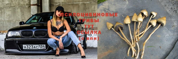 COCAINE Арсеньев