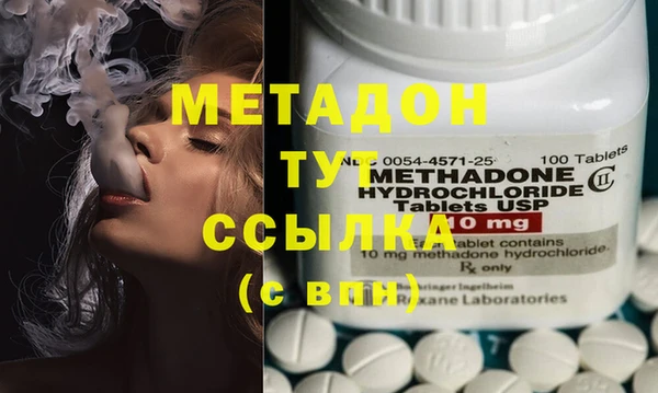 сатива Аркадак