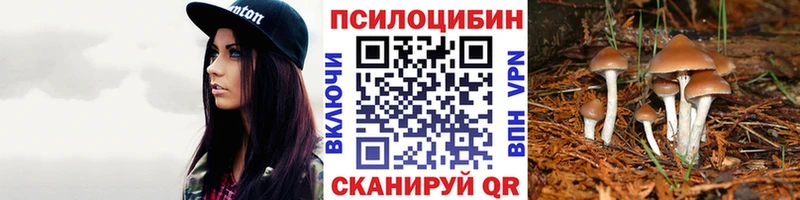 Галлюциногенные грибы MAGIC MUSHROOMS Райчихинск